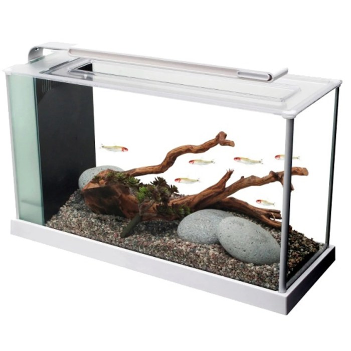 Aquarium fluval wohnzimmer