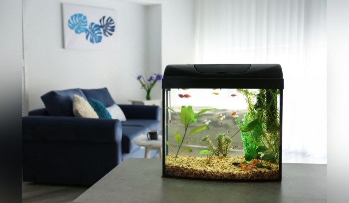 Aquarium wohnzimmer fernseh