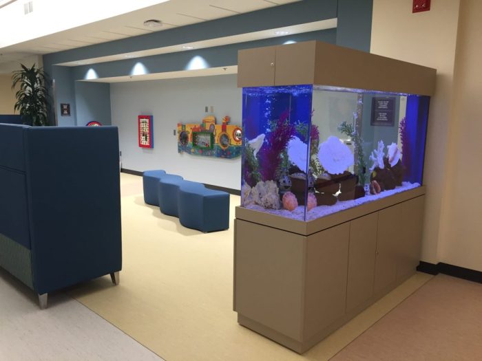 Aquarium als raumteiler wohnzimmer