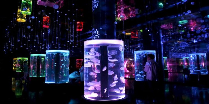 Aquarium wohnzimmer licht