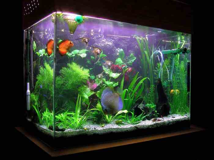 Aquarium meer mit fische wohnzimmer