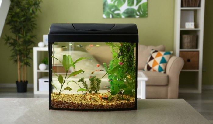 Aquarium meer wohnzimmer