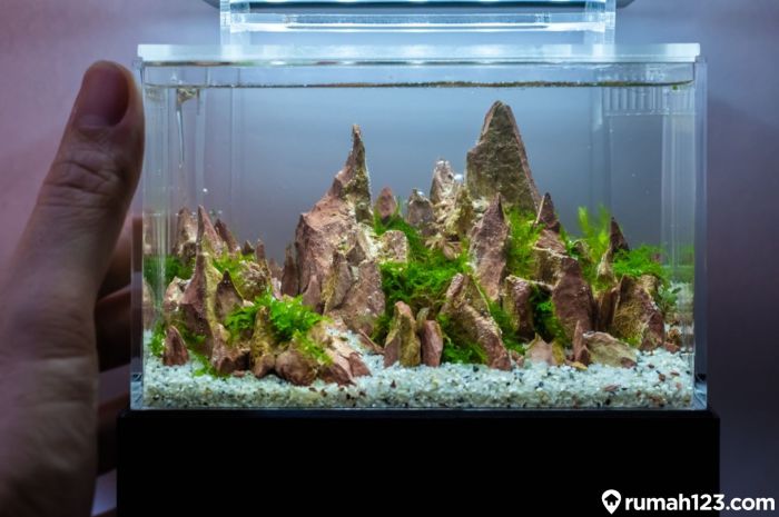 Aquarium im kleinen wohnzimmer