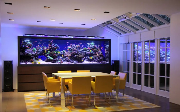 Aquarium im wohnzimmer lautstärke