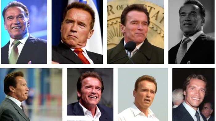 Arnold schwarzenegger wohnzimmer