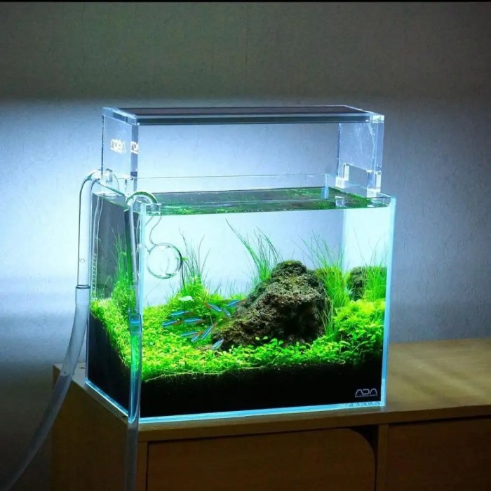 Aquarium wohnzimmer lösung