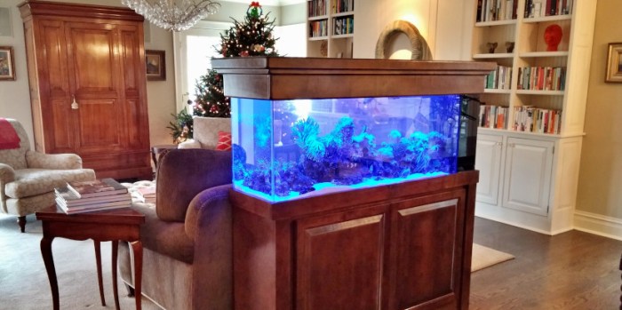 Aquarium meer mit fische wohnzimmer