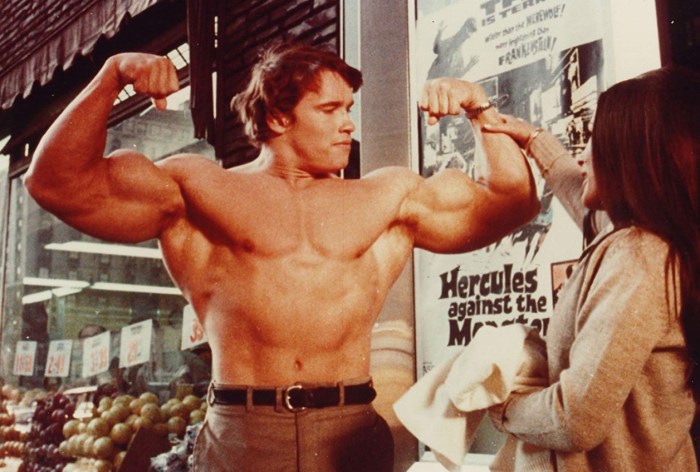 Arnold schwarzenegger wohnzimmer